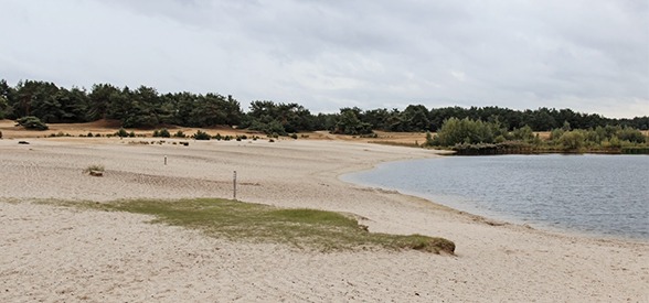 Sahara of Lommel